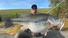 ブラックバスの釣果