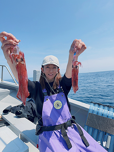 マルイカの釣果