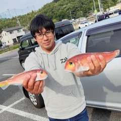 アカアマダイの釣果