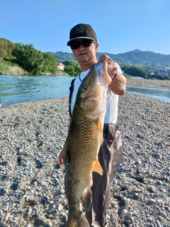 ニゴイの釣果