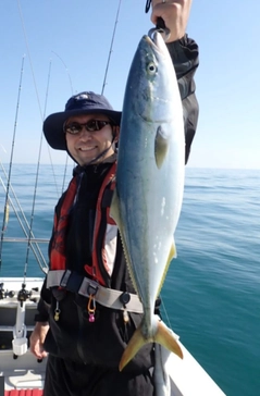 ワラサの釣果