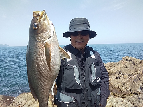 イサキの釣果