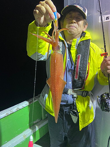 スルメイカの釣果