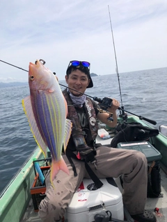 イトヨリダイの釣果