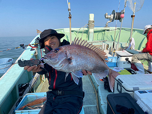 マダイの釣果