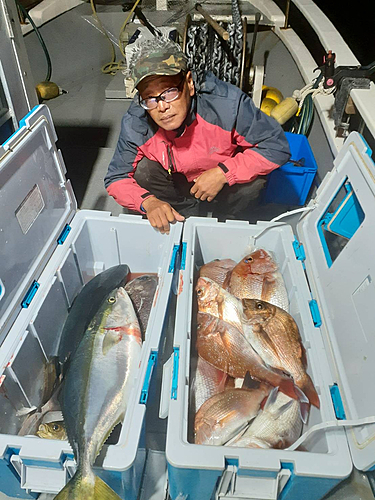 マダイの釣果