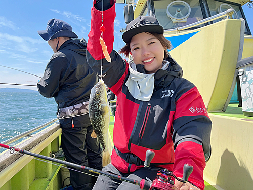 ショウサイフグの釣果