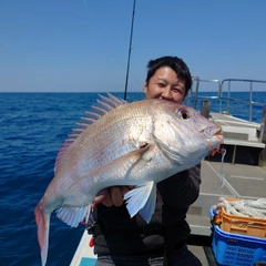 マダイの釣果