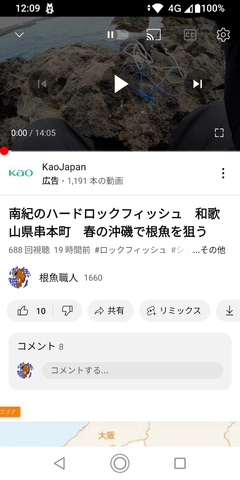 アカハタの釣果