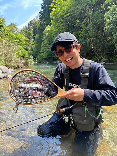 アマゴの釣果