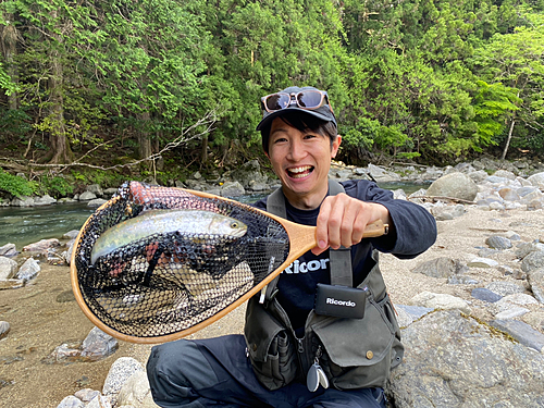 アマゴの釣果