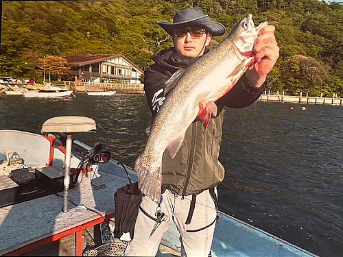 レインボートラウトの釣果