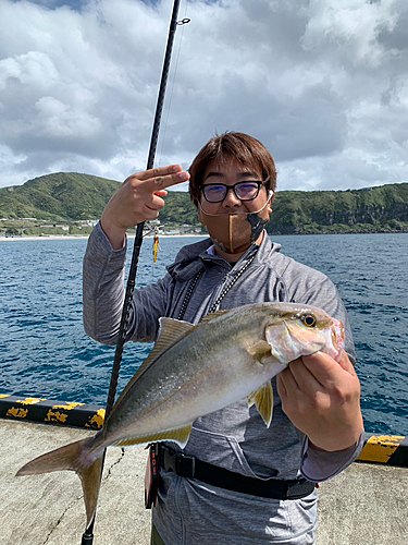 カンパチの釣果