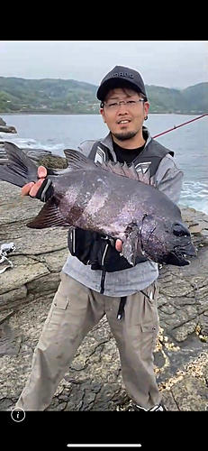 イシダイの釣果