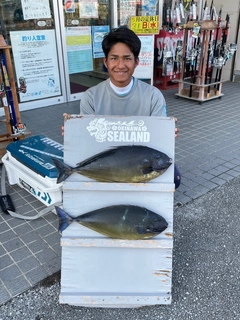 テングハギモドキの釣果