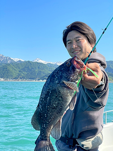 ソイの釣果