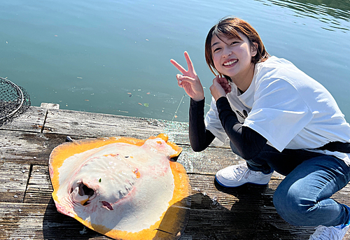 エイの釣果