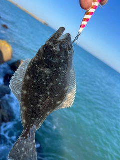 ソゲの釣果