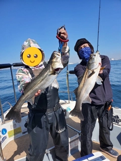 シーバスの釣果