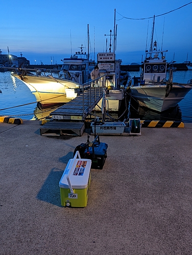 アカササノハベラの釣果