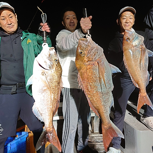 マダイの釣果