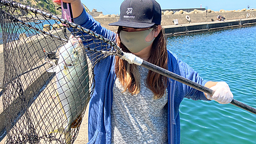 シマアジの釣果