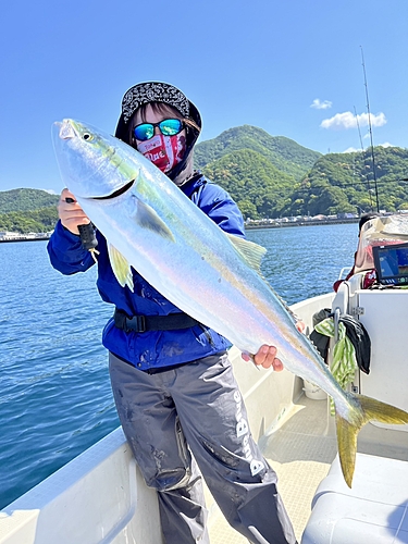 ブリの釣果