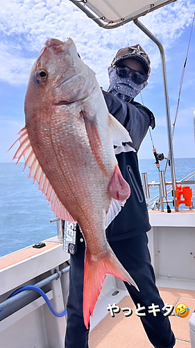 タイの釣果