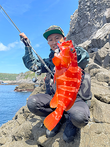 アカハタの釣果