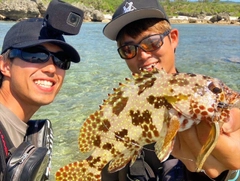 イシガキハタの釣果