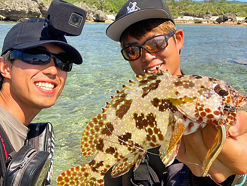 イシガキハタの釣果