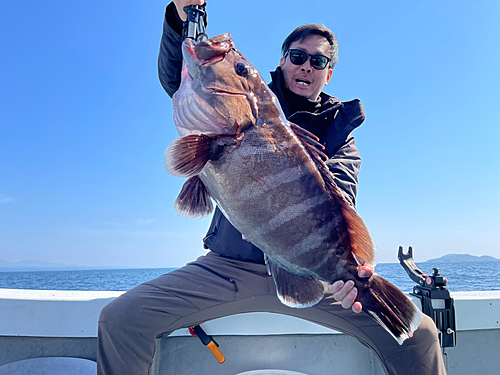 マハタの釣果