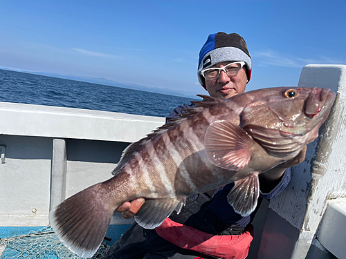 マハタの釣果