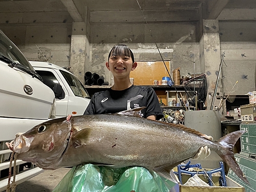 ヒレナガカンパチの釣果