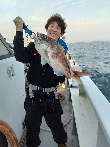 ヤリイカの釣果