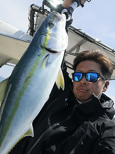 メジロの釣果