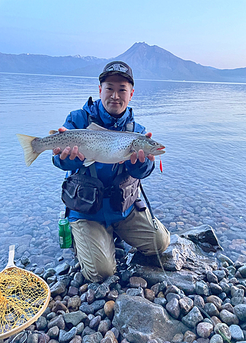 ブラウントラウトの釣果