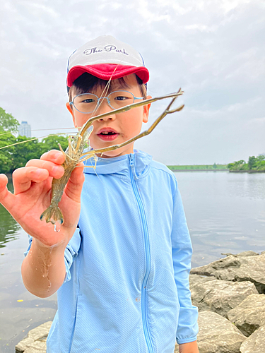 テナガエビの釣果