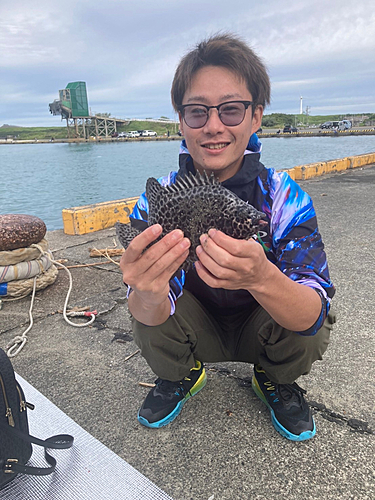 イシガキダイの釣果