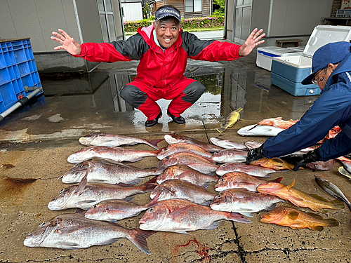 マダイの釣果