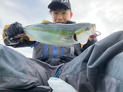 イナダの釣果