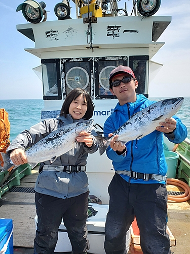 トキシラズの釣果