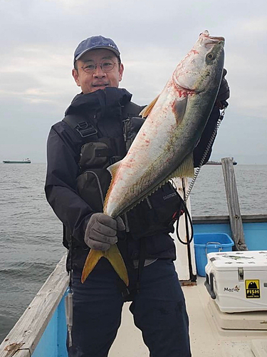 メジロの釣果