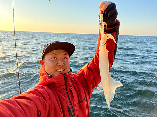 ヤリイカの釣果