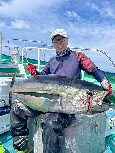 キハダマグロの釣果