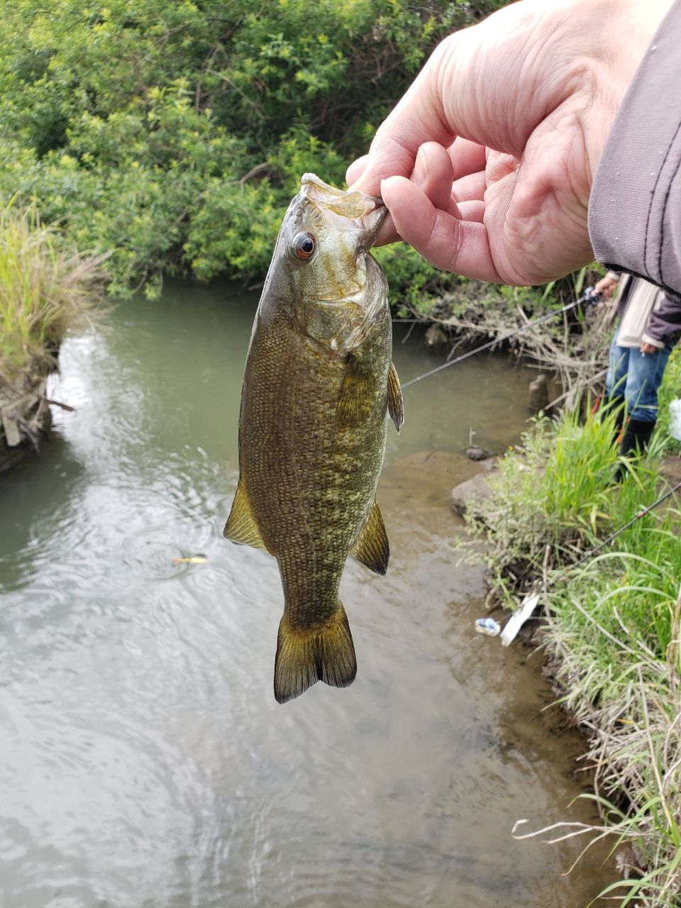 スモールマウスバス