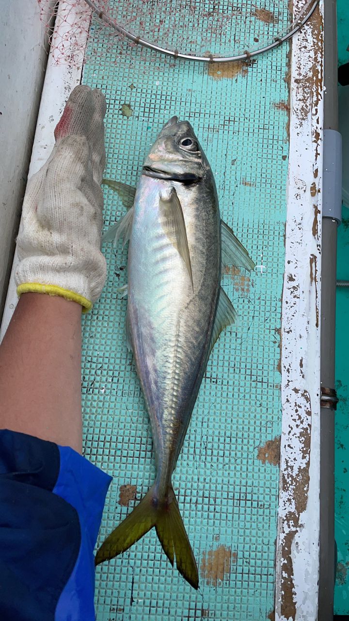 ノーンさんの釣果 2枚目の画像