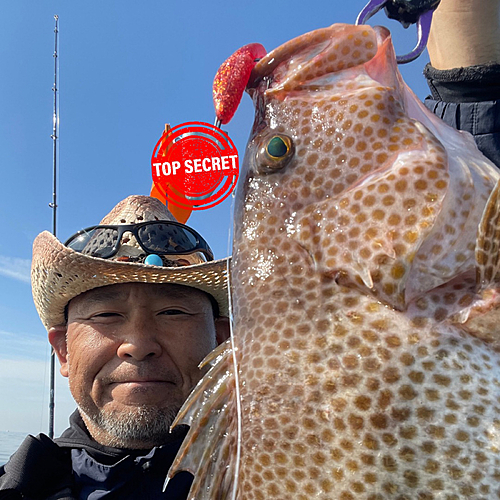 オオモンハタの釣果