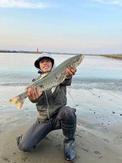 アメマスの釣果