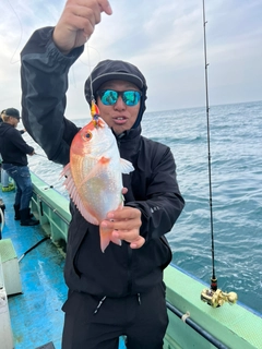 レンコダイの釣果